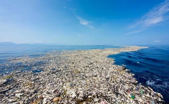 GreatPacificGarbagePatchOrdlista
